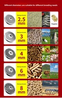 Nouvelle machine à granulés d'aliments pour animaux de petite taille et volailles à haute productivité 2,2 KW JL-125 Capacité 100 kg/h JIANGLAI