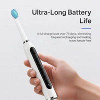 Brosse à dents électronique rechargeable économique et populaire pour les soins bucco-dentaires à domicile, brosse à dents intelligente pour adultes