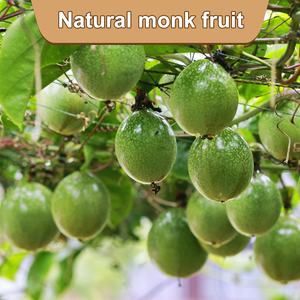 OEM tùy chỉnh số lượng lớn giá bán buôn hữu cơ hòa tan nhà sư trái cây chất làm ngọt Bột nước ép tinh khiết nhà sư trái cây mogrosides bột - Product Image 5