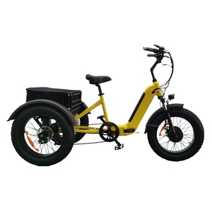 Bicicleta Eléctrica de Carga Resistente con Batería <span class=keywords><strong>Samsung</strong></span> y Motor Delantero de 500W, Perfecta para Entregas de Última Milla y Transporte Diario - Product Image 1