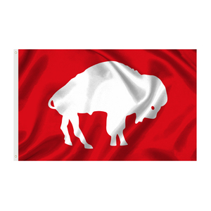 Bandera DE LA NFL duradera para interiores y exteriores, Bandera de fútbol para todos los equipos, Bandera de Buffalo Bills - Product Image 6