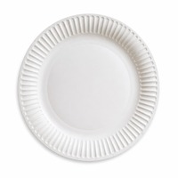 Lot de 50 assiettes en papier enduit résistantes de 9 pouces, assiettes jetables blanches en vrac pour barbecue, fête, pique-nique, camping et usage quotidien
