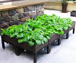 Cajas de plantación de plástico, una nueva solución de plantación hortícola, beneficio mutuo - Product Image 5