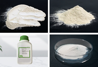 Poudre de Nisine de Qualité Alimentaire Amulyn E234 pour la Conservation des Produits Laitiers 900-30000UI, MOQ 1kg