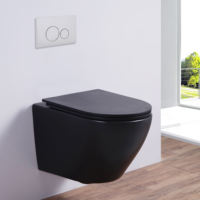 Cuvette de toilette moderne en céramique noire OEM/ODM ensemble sanitaire mural avec conception sans bords et télécommande pour les applications de villa