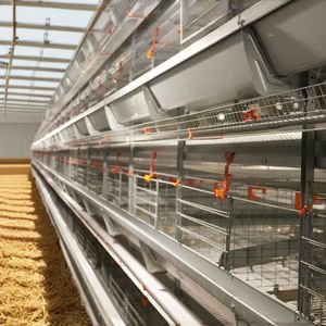 Kolay yumurta koleksiyonu için Bangchi h-tipi pil kafesi düşük bakım uzun ömürlü verimli hayvan bakımı için yeni 1 yıl garanti - Product Image 5