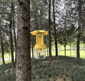 Piège en plastique en gros sans phéromone insecticide, Piège en plastique avec phéromones insecticides pour mites/scarabées nuisibles - Product Image 5