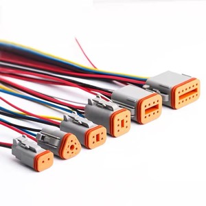 Wavelink personnalisé Deutsch DT 2-12Pin automobile étanche fil électrique Pigtails 16-12AWG CE RoHS pour faisceau de câblage - Product Image 1