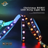 Guirlandes lumineuses LED RVBIC adressables WS2811 Dream Color, kit complet 5m 60 LED/m 12V 5A USB, synchronisation musicale via application, IP20, Noël, CE, RoHS