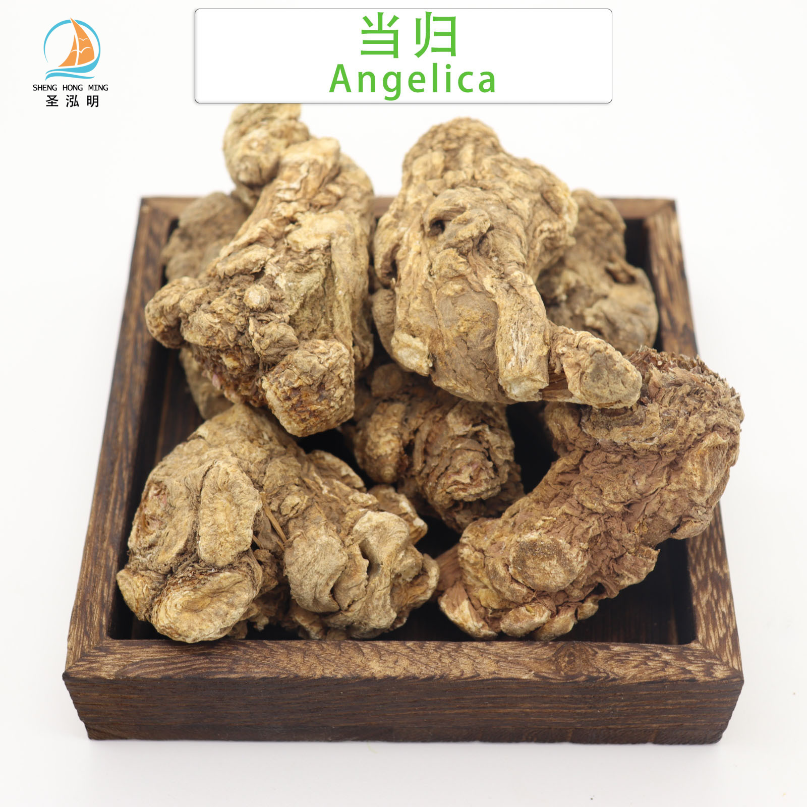 High Quality Angelica Pure Natural Growth Herb Extract Herbs Whole Angelica