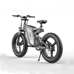 ZOOM disk fren 20 inç yağ lastik 7 hız 48V 15AH lityum pil E bisiklet alüminyum alaşımlı eBike LED ekran elektrikli bisiklet 500W