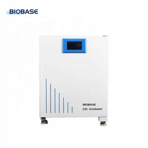 BIOBASE Scientifc laboratorio coltura di tessuti vegetali incubatore di riscaldamento per microbiologico