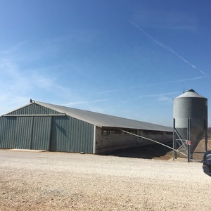 Nueva Tolva de Alimentación de Plástico PP Avanzada con Diseño de Material Innovador para la Cría de Aves de Corral Moderna - Product Image 1