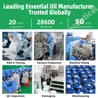 Huile Essentielle d'Eucalyptus en Vrac 80% Cineol Sans Odeur Fraîche Échantillon Gratuit Fournisseur d'Usine pour Soins Bucco-Dentaires et Produits Chimiques Quotidiens