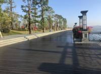 Planches de terrasse WPC co-extrudées contemporaines - Surface à grain de bois imperméable pour parcs et jardins (Collection de couleurs)