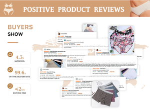 Ventes en gros d'usine, sous-vêtements pour femmes respirants, grande taille, couleur unie, confortables, élastiques, culottes taille reine - Product Image 6