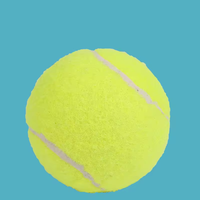 Ballon de padel de haute qualité avec logo personnalisé pour les compétitions et les tournois, ballon de padel sportif