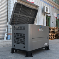 Générateur silencieux 10KW 2 cylindres NG GPL avec interrupteur de transfert automatique, châssis en acier galvanisé, AVR, vente en gros