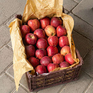 Manzanas Frescas de China - Royal <span class=keywords><strong>Gala</strong></span>/Fuji/Red Delicious 100% Naturales, Almacenadas en Frío, Empacadas en Caja, Dulces, Premium, Exportación a Granel - Product Image 1