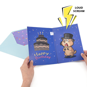 Cartes de vœux en papier en vrac avec puce vocale préenregistrée à son fort volume, personnalisées en usine OEM, avec musique et audio, cartes d'anniversaire créatives - Product Image 1