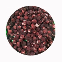 2026 Mei IQF Chinese diepvries verse Bayberry aardbeien, geheel, gesneden en in balletjes, verkrijgbaar in bulkverpakkingen