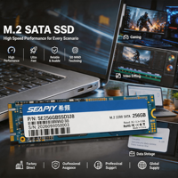 Disque SSD externe portable 128 Go M.2 2280 SATA III résistant aux chocs pour la sauvegarde et le stockage sur ordinateur de bureau