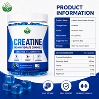Gommes de créatine monohydrate avec électrolytes, saveur myrtille, 60 unités