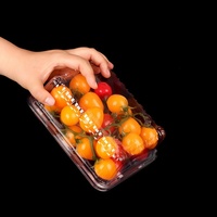 Boîte d'emballage en plastique transparent à clapet pour fruits frais, idéale pour 500g de fraises