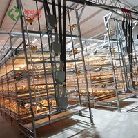 Offre Spéciale : Distributeur Automatique de Nourriture pour Poulets, Équipement d'Élevage Avicole, Cage de Batterie pour Poulets de Chair (pour 10 000)