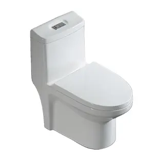 Nepal market ceramic bathroom siphon flush one-piece toilet