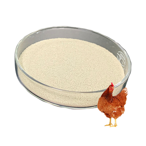 Gia cầm Probiotics men chiết xuất men Saccharomyces cerevisiae Probiotics cho chim bồ câu - Product Image 6