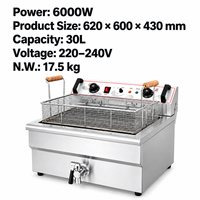 Commerciële elektrische friteuse 30L 6000W grote enkele tank aanrechtmodel roestvrijstalen friteuse met mandje, afvoerkraan en temperatuurregeling