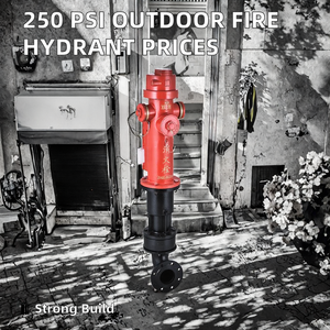 เหล็กหล่อกลางแจ้งสีแดง250 <span class=keywords><strong>PSI</strong></span> ถังดับเพลิงแบบเปียกอุปกรณ์ดับเพลิงและอุปกรณ์เสริม - Product Image 2