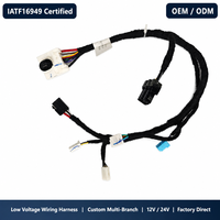 Rangkaian Kabel Tegangan Rendah Khusus 12V 24V untuk Otomotif OEM ODM Bersertifikasi IATF16949 RoHS