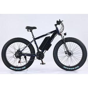 Bicicleta Eléctrica de Neumáticos Anchos de Alta Calidad de Fábrica en Oferta, Batería de Litio de 350 W, Discover Fatbike Discover - Product Image 2