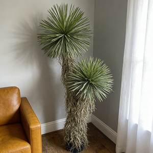 Plante artificielle en pot en plastique, <span class=keywords><strong>d</strong></span>écoration extérieure et intérieure pour la maison, <span class=keywords><strong>le</strong></span> bureau, <span class=keywords><strong>le</strong></span> jardin, <span class=keywords><strong>d</strong></span>écoration intérieure, plantes artificielles - Product Image 1