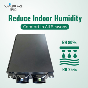 Déshumidificateur d'air frais 98L/Dh, déshumidificateur réfrigérant, déshumidificateur haute efficacité pour toute la maison, purificateur d'air 2 en 1 HAILI Compr - Product Image 1