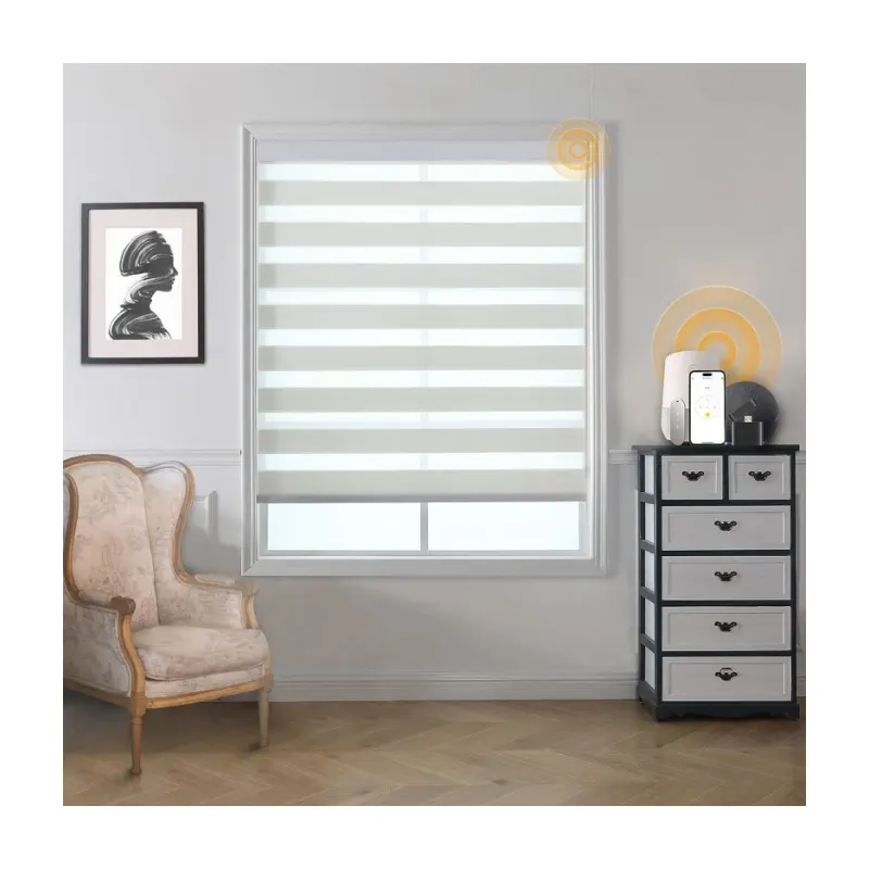 Automatic Smart Zebra Blinds White Dual Layer Blackout Shades Zebra Blinds For Indoor Windows