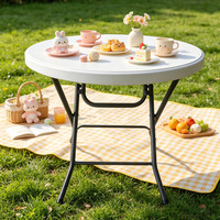 Table de repas pliable d'extérieur, structure métallique, table portable en plastique pour la maison, l'hôtel, le restaurant