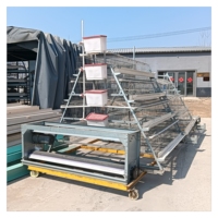 Cage à poules pondeuses, système automatique moderne pour élevage avicole