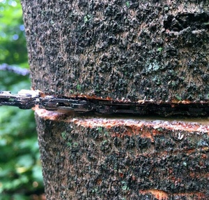 Tronçonneuse avec poignée, équipement <span class=keywords><strong>de</strong></span> survie d'urgence en plein air, chaîne pliante, scie à <span class=keywords><strong>main</strong></span>, coupe d'arbre, outils <span class=keywords><strong>de</strong></span> coupe <span class=keywords><strong>de</strong></span> <span class=keywords><strong>jardin</strong></span> - Product Image 4
