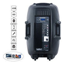 Sistema de Altavoces PA Profesional de 500W con Woofer de 15 Pulgadas, Conjuntos de Karaoke, BT-TWS-Mic--FM-ECHO-EQ+Luz de Llama, Bocina Parlante