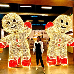 Decoraciones Navideñas de Jengibre con Luces LED para Exteriores, para Calles, Parques Temáticos, Centros Comerciales, Hoteles y Exhibiciones Fotográficas Navideñas - Product Image 1