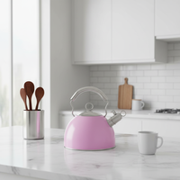 Bouilloire sifflante en acier inoxydable 3L personnalisée, compatible induction, design minimaliste écologique, pour la maison, les voyages et le camping