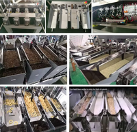 Machine de remplissage semi-automatique multi-ingrédients pour poudres et granulés, avec pesage et conditionnement, 2/4 têtes, peseuse linéaire