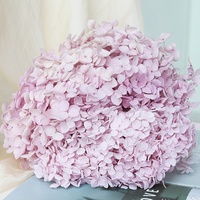 Bunga Sakura Hiasan Kering, Bunga Sakura Diawetkan Hydrangea Bunga Hias dan Tanaman Lainnya untuk Dekorasi Pernikahan Dekorasi Rumah