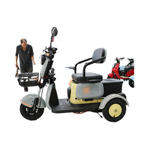 รถสามล้อไฟฟ้า3ล้อสำหรับผู้ใหญ่60V 1000W ได้รับการรับรองจากสาธารณรัฐเช็กอิตาลีตัวเลือกเปิดสำหรับรถบรรทุกที่มีเครื่องยนต์ - Product Image 3