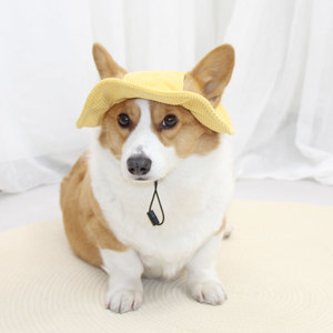 Chongtapet Sombrero para perros ajustable para razas pequeñas y medianas, ropa de verano para mascotas, estilo monocromático - Product Image 2