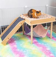 Accessoires pour hamster en peau de hamster agrandie personnalisés Hamac en bois pour cochon d'Inde avec plate-forme et escalier