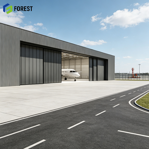 Hangar de Aviación con Estructura de Acero Galvanizado a Prueba de Sismos, Aislamiento Térmico, Prefabricado, de Alta Resistencia, para Depósito de Aviones - Product Image 1